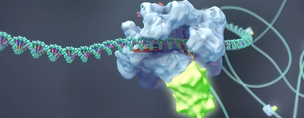 Gaining insights into human disease biology through CRISPR platforms