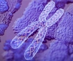 The Applications of Chromosome Conformation Capture (3C) Technology