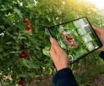 Smart Farming: The Sustainable Future for Food