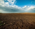 Analyzing the Growing Threat of Soil Extinction