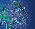 Understanding Native Protein Characterization
