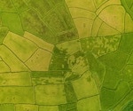 Investigating the Role of Aerial Imaging in Agriculture