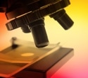 What is Environmental Forensic Microscopy?
