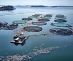 Restoring the Ocean's Ecosystem Using Aquaculture