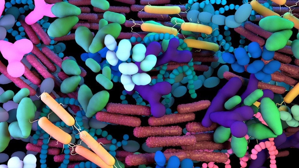 How Does the Gut Microbiome Influence Obesity?