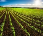 Precision Agriculture: Challenges and Future Outlook