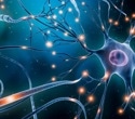 Unlocking Brain Secrets: Decoding Neurochemistry via Cerebral Microdialysis