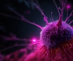 The Hidden Complexity of Tumor Heterogeneity