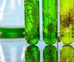Biotechnology and Biofuels: Is This the Future of Greener Energy?