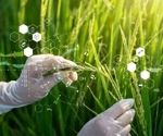Revolutionizing Agriculture: How Agrigenomics Is Shaping the Future of Farming