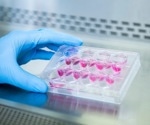 Spotting Contamination in Cell Cultures | A Guide