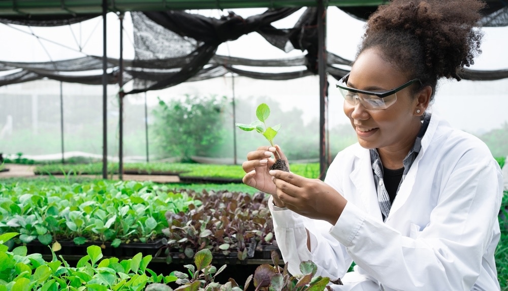 Plant Genetic Expert researcher holding young Plant for research with other species