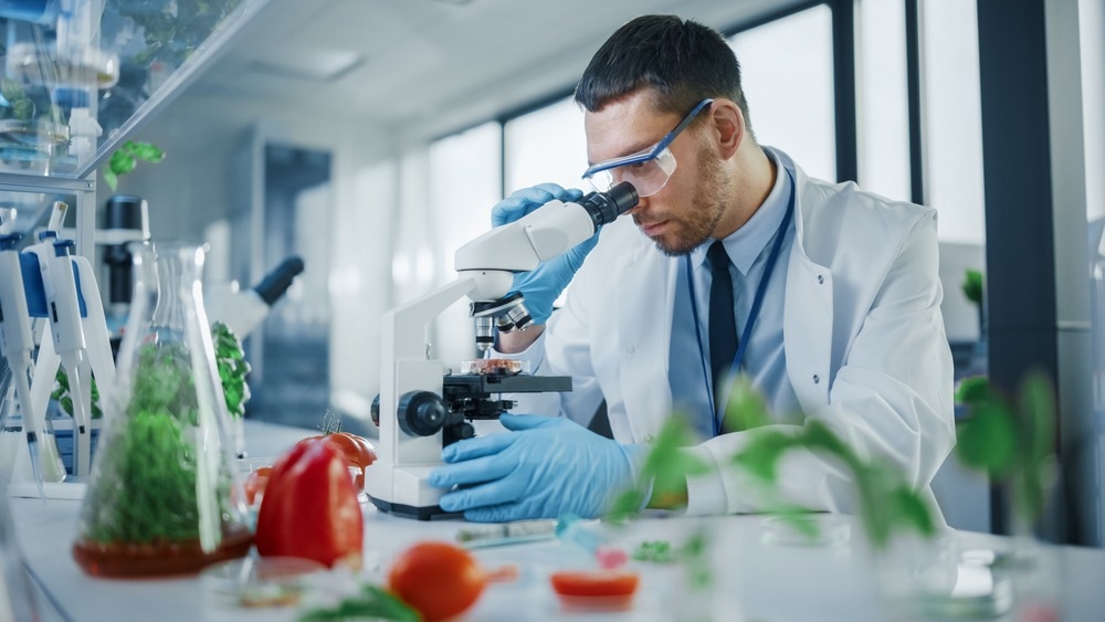 Male Microbiologist Looking at a Lab-Grown Cultured Vegan Meat Sample in a Microscope.