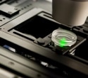 Using Fluorescence Microscopy for Genetic Applications