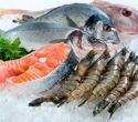 Genetic Barcoding in Seafood: Ensuring Authenticity and Traceability in Aquaculture