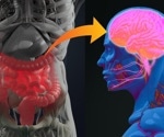 The Brain-Gut-Microbiome Axis: What We Know So Far