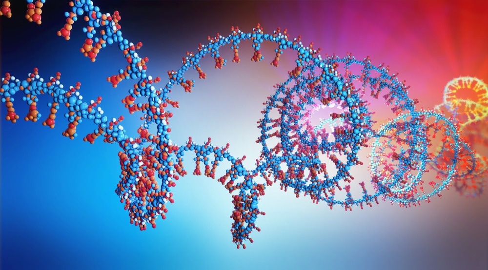 3d illustration of a ribonicleic acid chain from which the deoxyribonucleic acid or DNA is composed