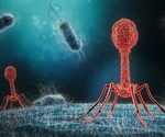 Understanding Bacteriophages Role in Curbing Antibiotic Resistance Trends