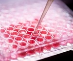 Bioethics in the Age of Organoids and Synthetic Embryos