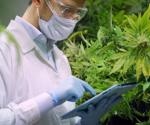What Role does Big Data Play in Cannabis Research?