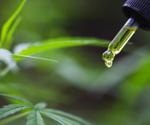 Could CBD Help to Treat Opioid Addiction?