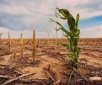 How Vulnerable is the Agricultural Industry to Climate Change?