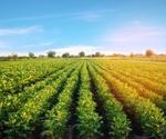 Using Biochemistry to Improve Crop Cultivation