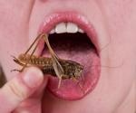 Could Eating Insects be the Future of Food?