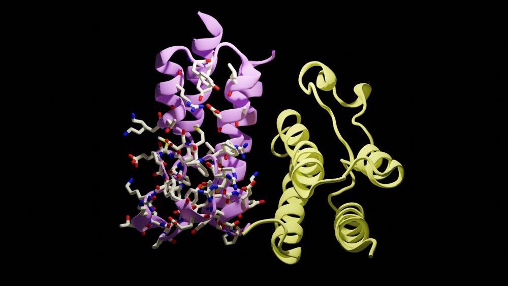 Histone Proteins