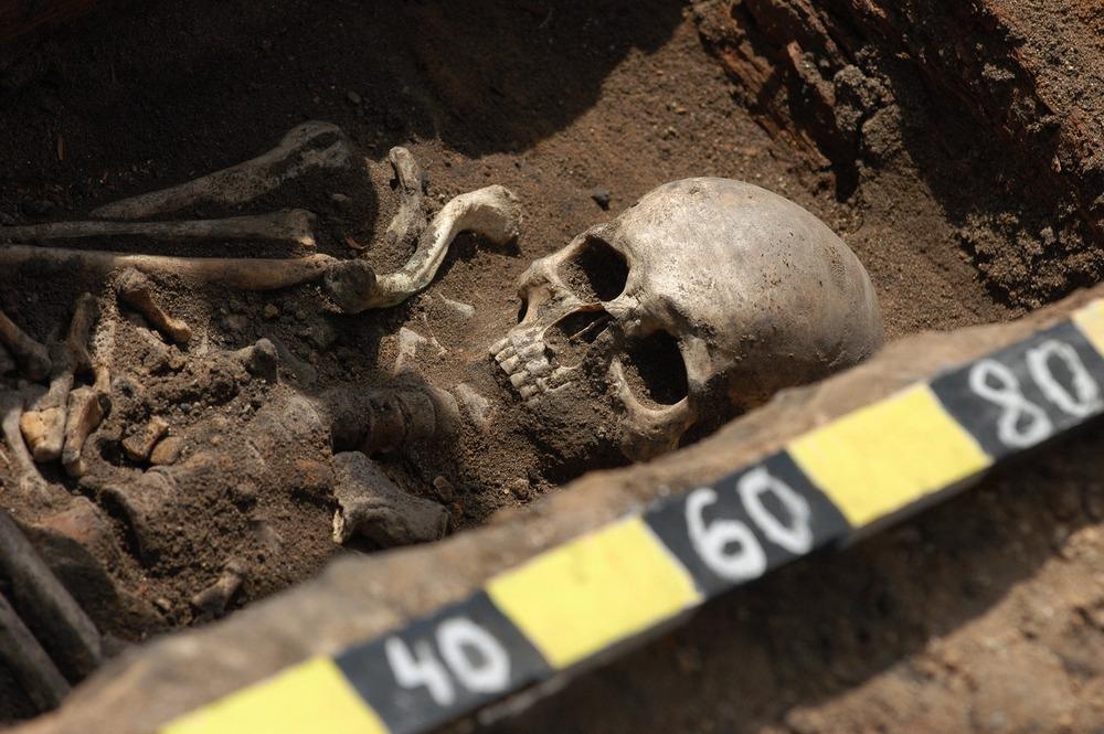 Forensic archaeology
