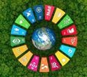 Importance of Biodiversity in Achieving the Sustainable Development Goals (SDGs)