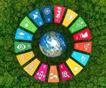 Importance of Biodiversity in Achieving the Sustainable Development Goals (SDGs)