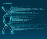 Exploring the Dark Genome