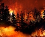 Are Wildfires Good for Biodiversity?