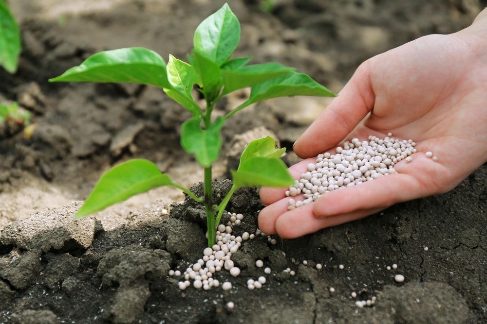 Soil fertilizer