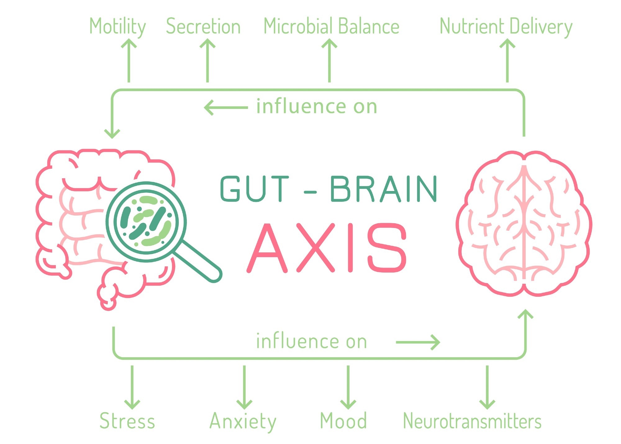 Gut-brain axis