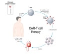 Are CAR-T Cells the Future of Infectious Diseases Treatment?