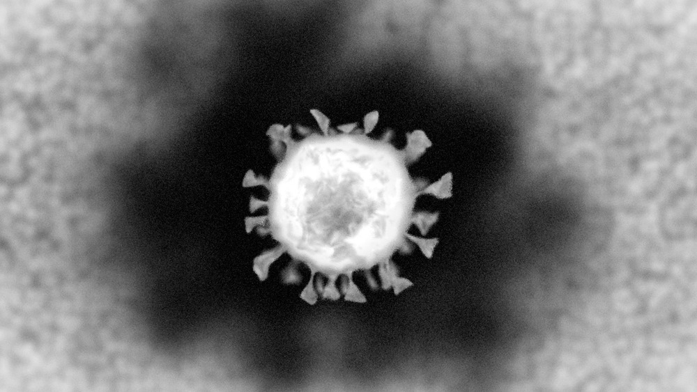 Computer-generated micrograph showing SARS-CoV-2 as seen using TEM.