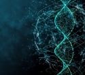 Non-Coding DNA and its Role in Research