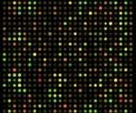 Compound Library Microarray Screening and Microarray Printers