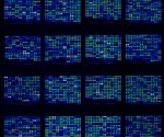 Consistency in Microarrays Across Slide Batches