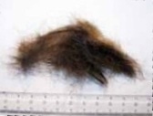 Can Hair Be Pulverized to Detect Drugs?