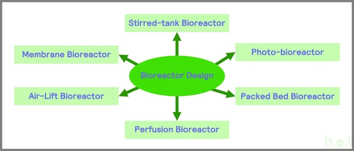 The Many Applications of Bioreactors: From Microbiology to Biotechnology