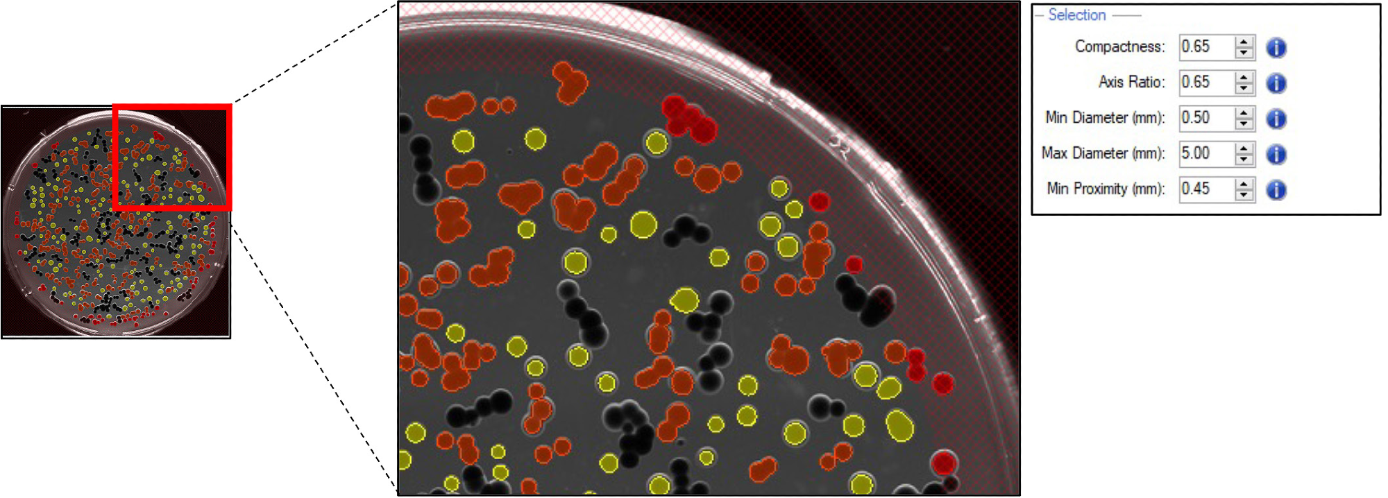 Pickable colonies are displayed in yellow. Orange: colonies excluded according to selection criteria. Top right panel: selection criteria defined for accurate colony picking