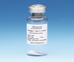 Type III Collagen - Powder