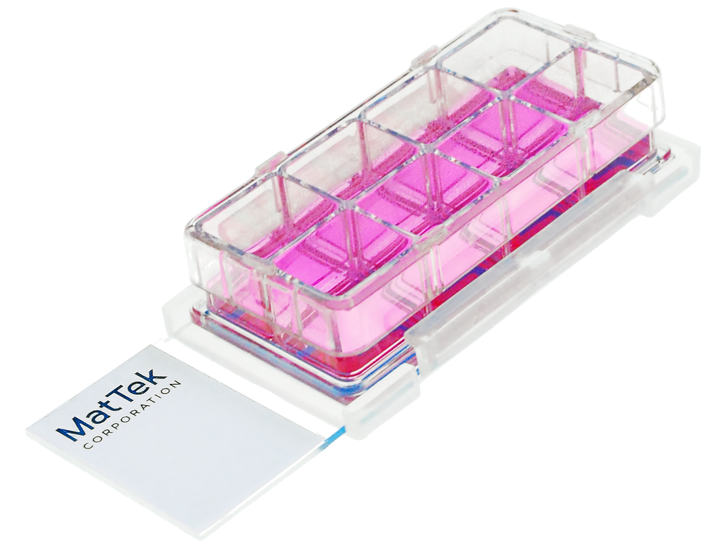 Chambered Cell Culture Slides
