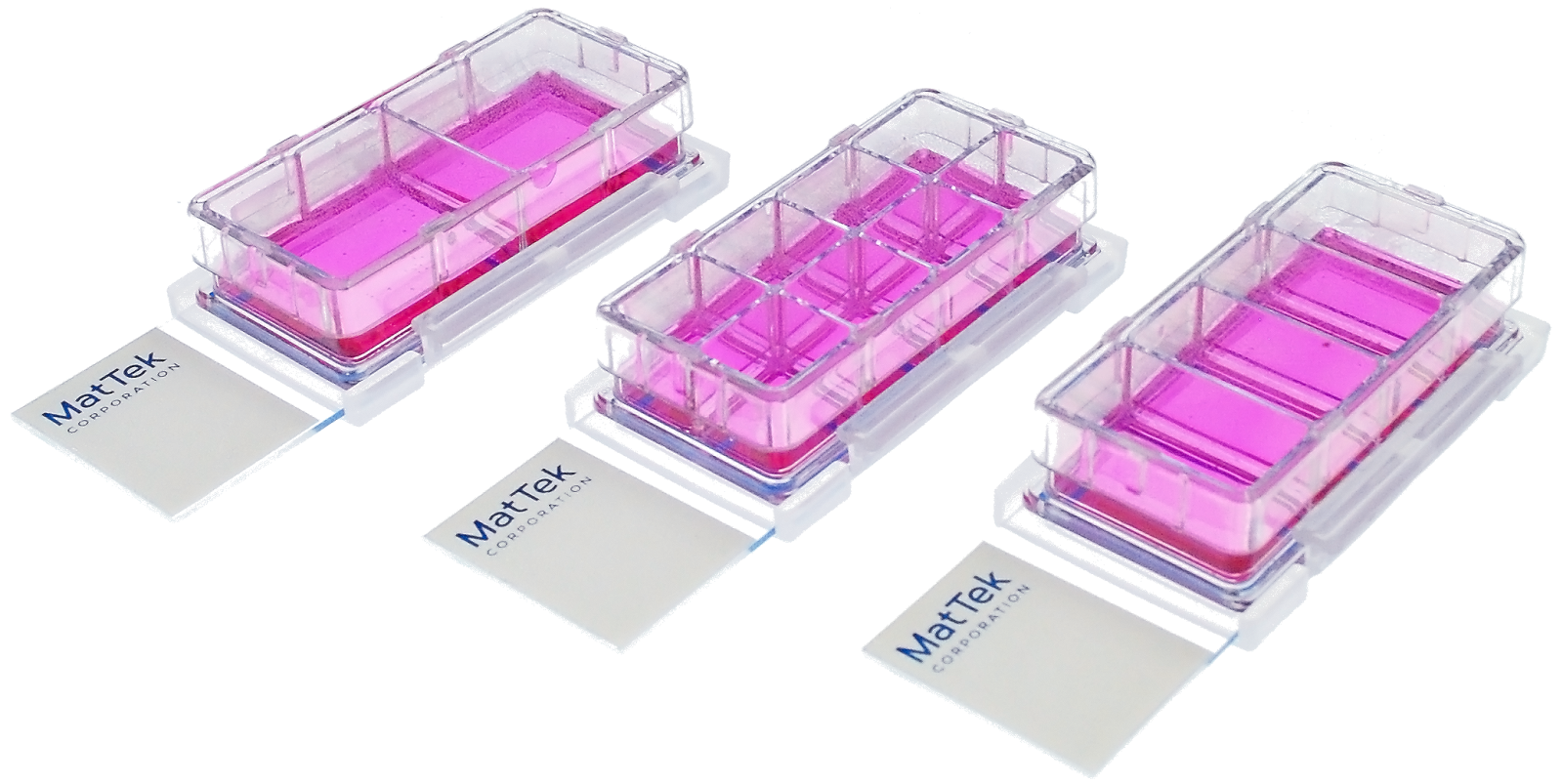 Chambered Cell Culture Slides