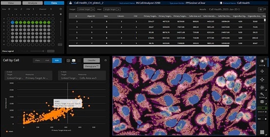 IN Carta Image Analysis Software for robust, quantitative results