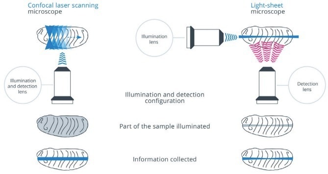 Luxendo MuVi SPIM—Light-Sheet Microscopy