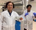 Sustainable Food Packaging that Protects Food from Microbes